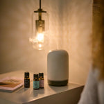 Sleep Therapy Fragrance Oil Set | Sleep Happy, Dream Catcher & Before Sleep