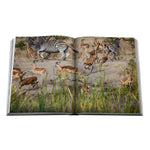'Londolozi: The Safari that Changed Everything' Book | Hailey Wist