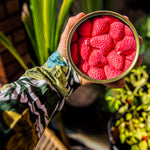 Ripe Strawberries CandleCan | Strawberry Scented