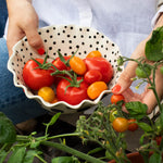 Scalloped Mono Spots Bowl | 20cm