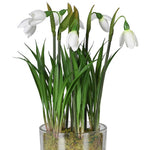 Faux Snowdrop Plant in Glass Pot | 26cm