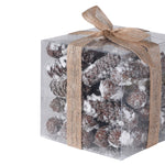Frosted Pinecones Present with Bow Detail | 16cm