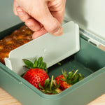 Lunch Box with Divider | Tiny Trails Green