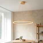 Staten Circle Pendant Light | Gold