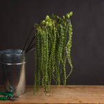 Faux Amaranthus Stem | Green