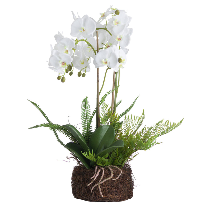 Faux Orchid & Fern Garden in Rootball | 57cm
