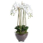 Faux Orchid in Glass Pot | White | 88cm