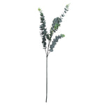 Faux Silver Dollar Eucalyptus Stem