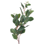 Faux Summer Seeded Eucalyptus Stem | Green
