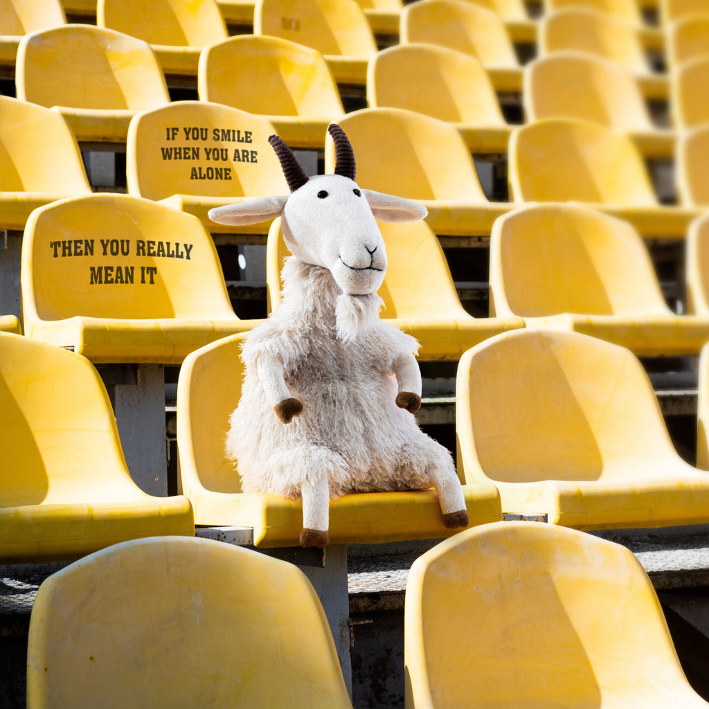 Buy Jellycat Ginny Goat About Living