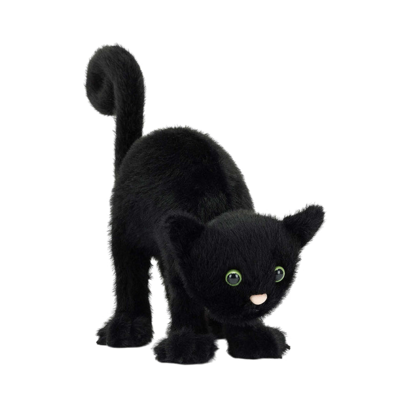 Spookipaws Cat Soft Toy