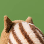 Swinley Boar Soft Toy