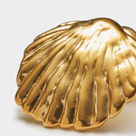 Cochellia Waterproof Shell Earrings | Gold Coated
