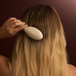 Hairbrush & Case Set | Light Taupe