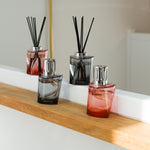 Black Terra Fragrance Lamp Set | Wilderness | 250ml