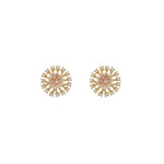 Wiz Small Earrings | Gold Plated with Cubic Zirconia