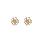 Wiz Small Earrings | Gold Plated with Cubic Zirconia