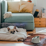 Wowl Black Dog Bowl | 21cm