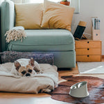 Wowl Warm Grey Dog Bowl | 28cm