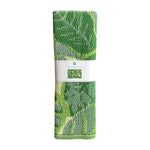 Outdoor Rug | Fiesta Palm