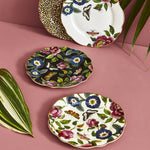 Cake Plate Set | Creatures of Curiosity | 4-Piece