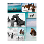 'Polo Heritage' Book | Aline Coquelle, Nacho Figueras