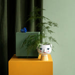 Eva Flowerpot | Light Green | 15.5cm