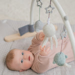 Ocean Baby Gym