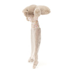 Blossom Bunny | Comforter | Bea Beige