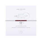 A Little January Birthstone Bracelet | Silver Plated with Garnet