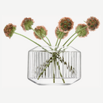 Rotunda Tealight Holder & Vase | 7cm