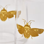 Tumbler Set | Creatures of Curiosity | 2-Piece