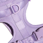 Cushioned Dog Harness | Lilac