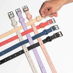 Dog Collar | Lilac