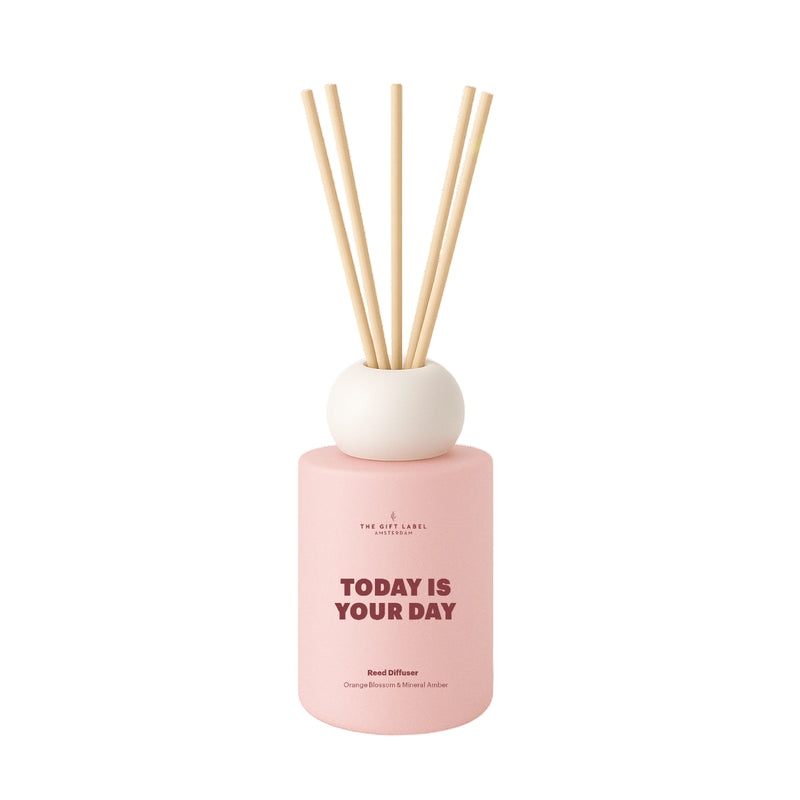 'Today Is Your Day' Frosted Reed Diffuser| Orange Blossom & Mineral Amber | 100ml