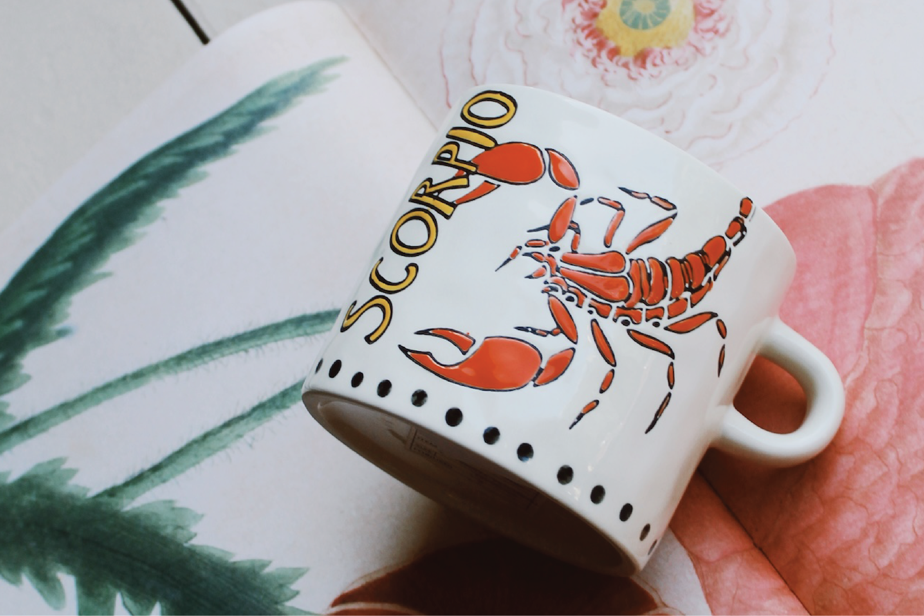 Elevate Your Home and Gifting