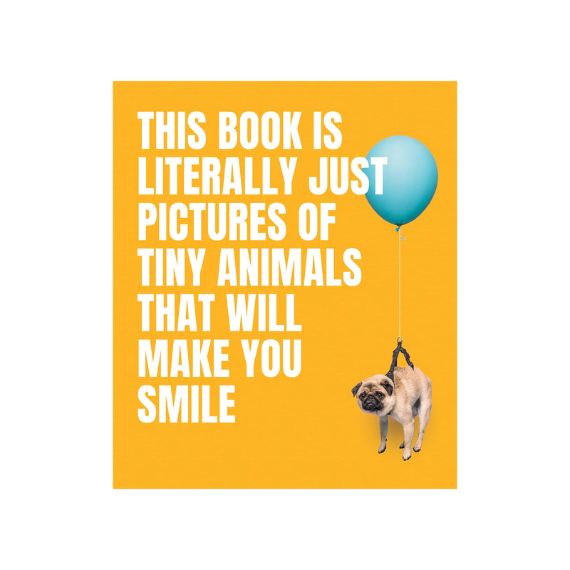 This Book is Literally Just Pictures of Tiny Animals That Will Make You Smile