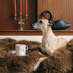 Poodle Mug