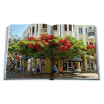 'Tel Aviv Spirit' Book | Yaffa Assouline