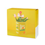 Book-Shaped Vase | 'Never Stop Growing' | Yellow