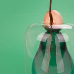 Avocado-Shaped Seed Grower