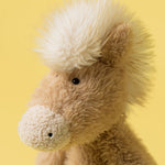 Canterneigh Pony