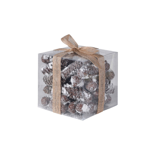 Frosted Pinecones Present with Bow Detail | 16cm