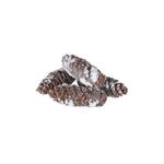 Frosted Pinecones Present with Bow Detail | 16cm