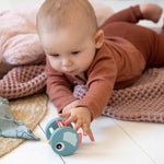 Birdee Wooden Rattle | Blue