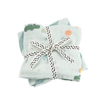 Burp Cloths | Celebration Blue | Set of 2