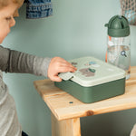 Lunch Box with Divider | Tiny Trails Green
