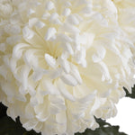 Faux Chrysanthemum Stem | White