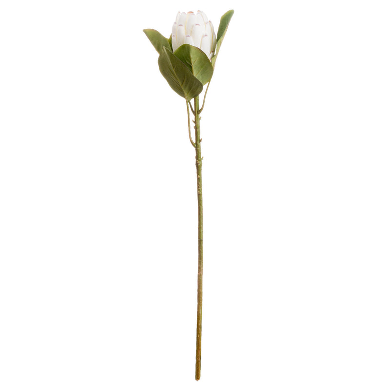 Faux Closed Protea Stem | White