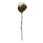 Faux Magnolia Stem | White | 78cm